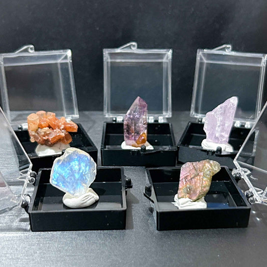 Raw Natural Crystal Mineral Specimen with Display Case