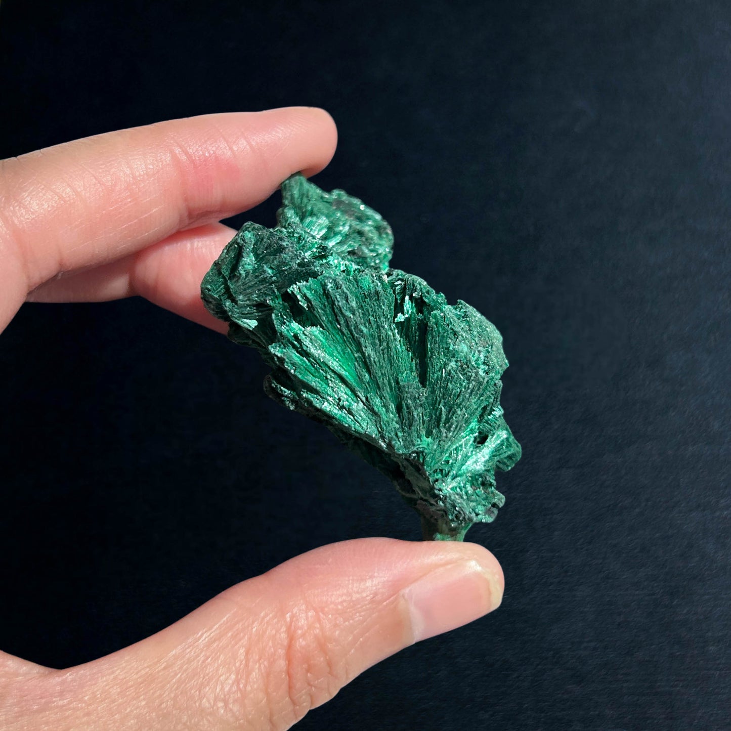 Malachite Cluster Mineral Specimen