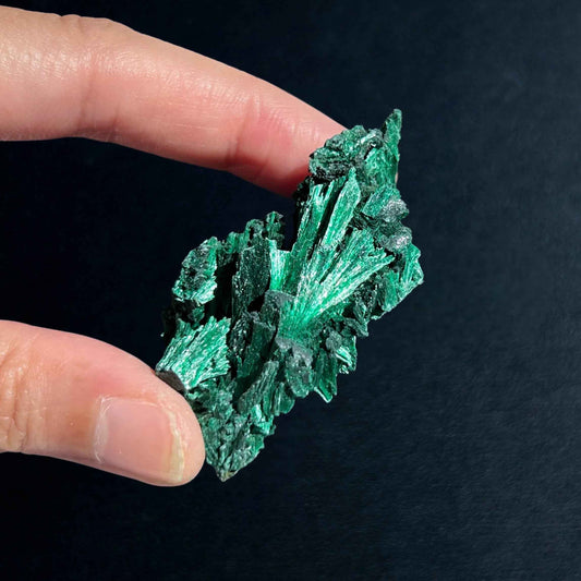 Malachite Cluster Mineral Specimen