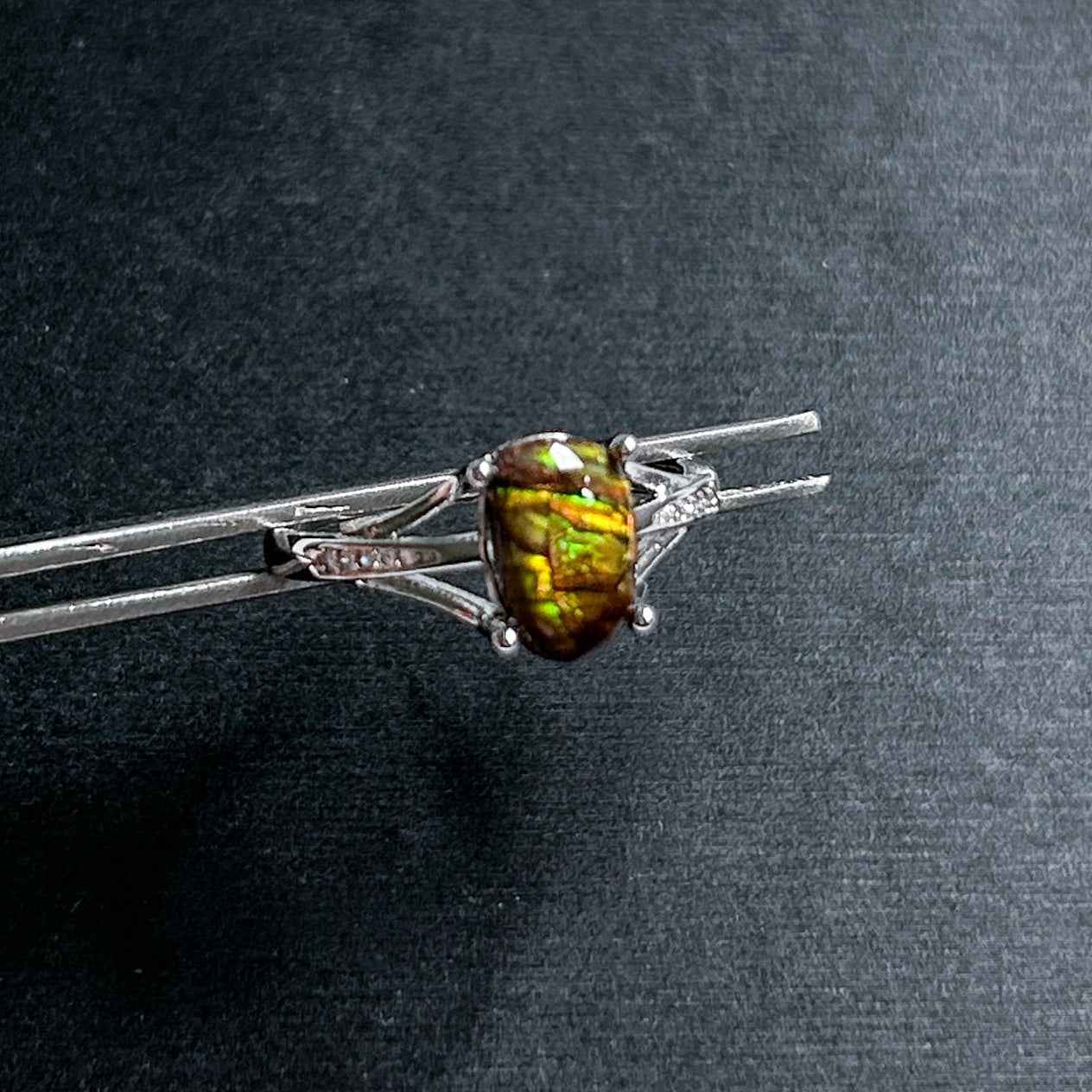 Rare Rainbow Ammolite Adjustable 925 Sterling Silver Ring