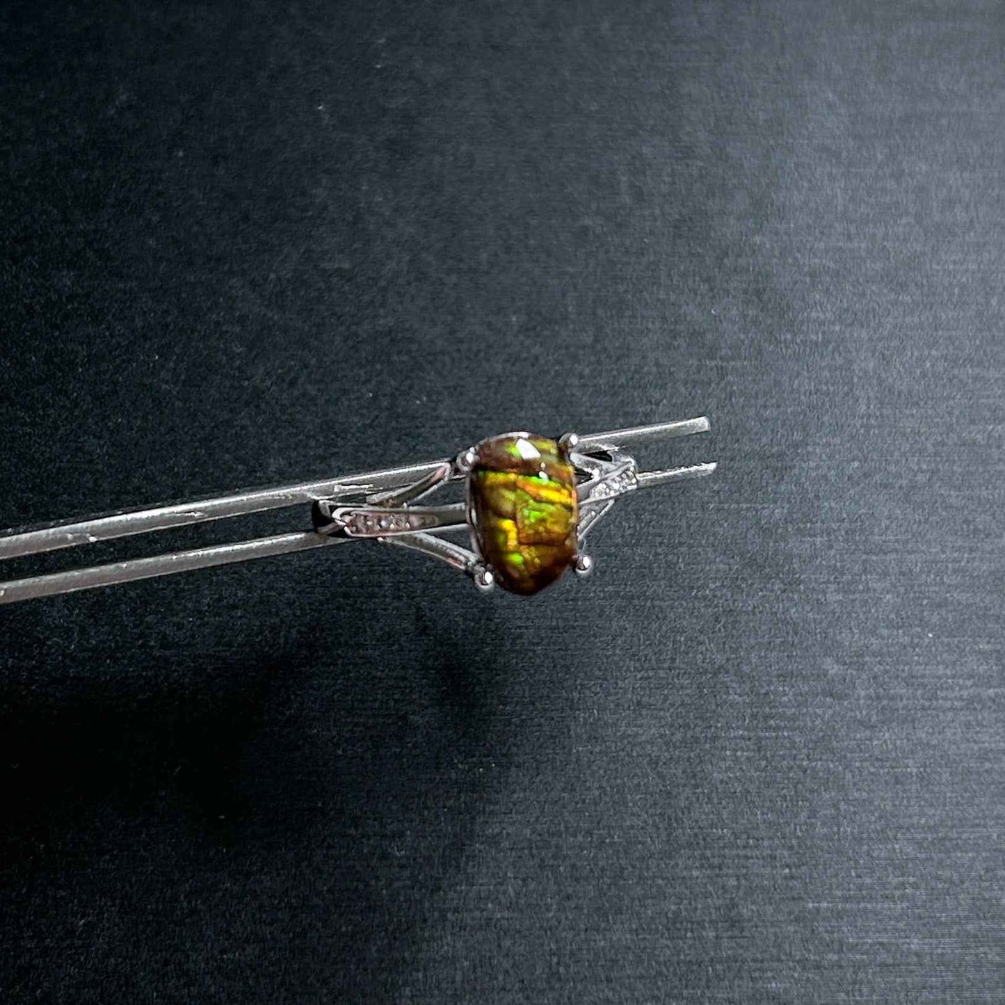 Rare Rainbow Ammolite Adjustable 925 Sterling Silver Ring