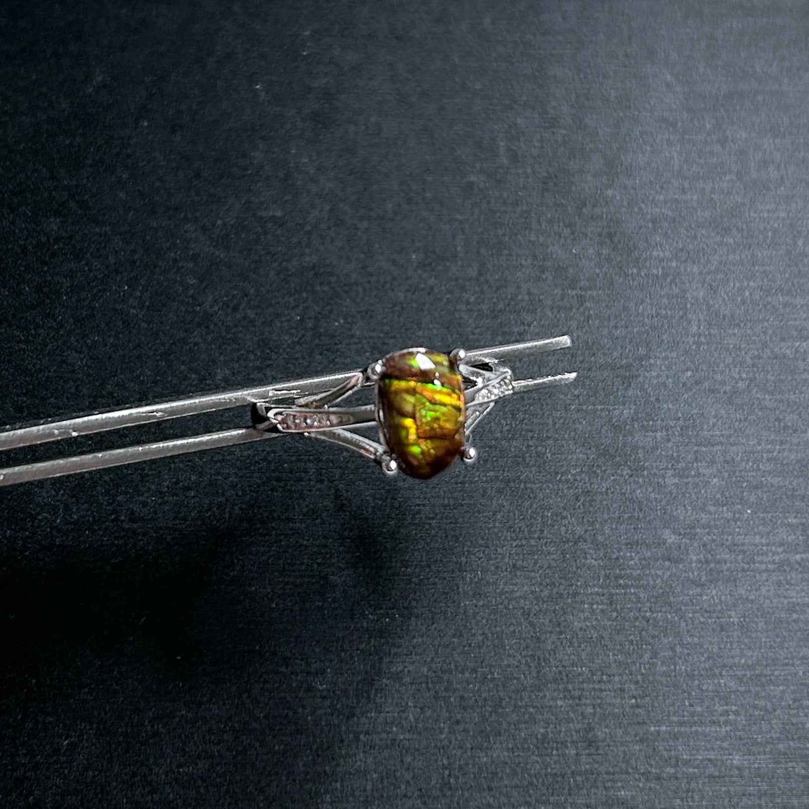 Rare Rainbow Ammolite Adjustable 925 Sterling Silver Ring