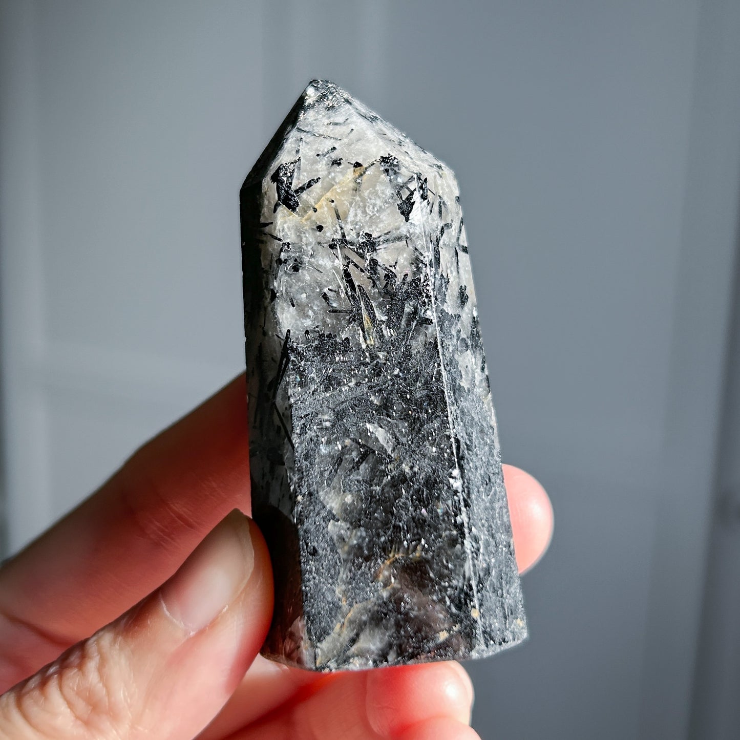 Rare Black Rutilated Quartz Points Standing Stone