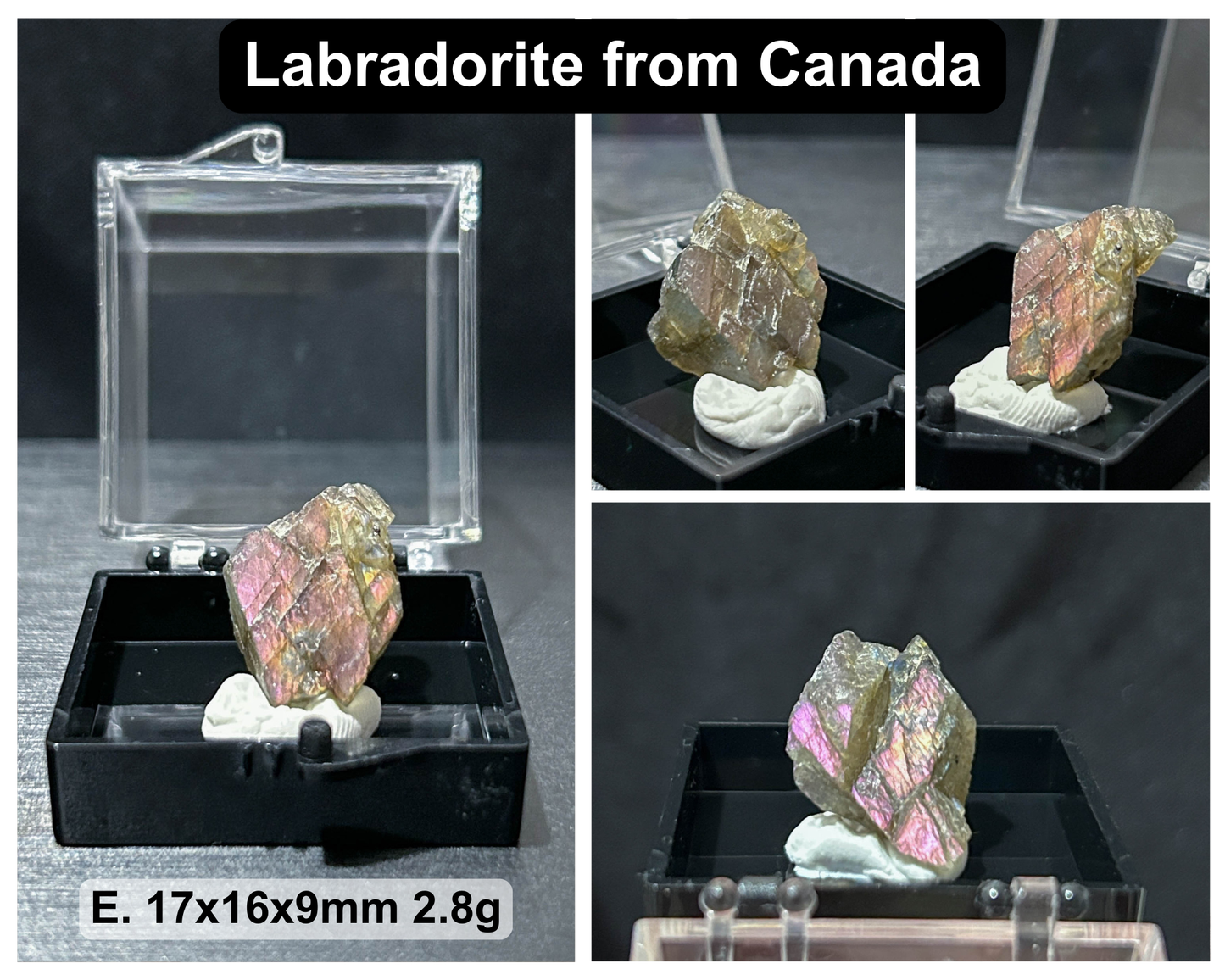 Raw Natural Crystal Mineral Specimen with Display Case